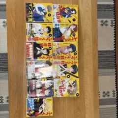 美味しんぼ DVD 14枚セット（11巻〜22巻＋特別版2種）レンタル落ち