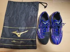 2026年最新】ダイバーシティブルー ミズノプロの人気アイテム - メルカリ