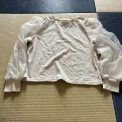 Item thumbnail for item 4690c174-0e04-4b52-849e-be4670613584