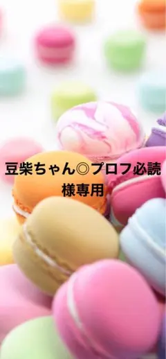 ＊豆柴ちゃん◎プロフ必読 様専用＊4月16日＊