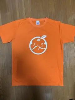 愛媛マラソン　Tシャツ