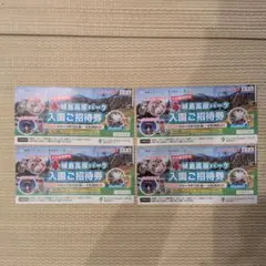 [送料無料] 城島高原パーク入園ご招待券 4枚セットのサムネイル