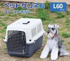 ペットキャリーDX60 L すのこなし版 - メルカリ