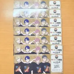 ハレオト ハレフェス HAREFES2025 レプリカチケット ハートス