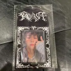 ALD1 モディ POPUP BEAST 少年 トレカケース アルノ