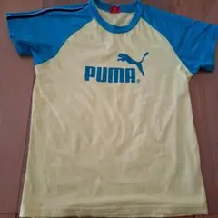 PUMA イエロー/ブルー Tシャツ