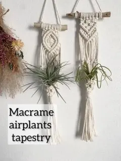 PINKY‥♡様 リクエスト 2点 まとめ商品