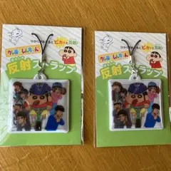 Item thumbnail for item 2fd33af5-3319-4095-972f-9449ae932a35