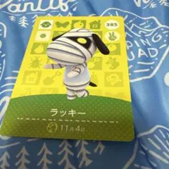 どう森　amiibo ラッキー