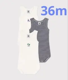 Item thumbnail for item 52b3b480-c028-4d09-8633-3a20e0d0ae8c