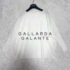 24年 美品 GALLARDA GALANTE ジョーゼットコンビブラウス