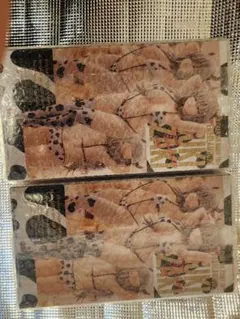 オンクレ産 宇崎月 牛水着Ver. GLITTER&GLAMOROUS ×2