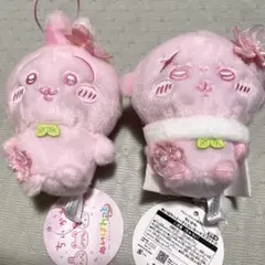 ちいかわ ぬいぱれっと さくらいろ うさぎ　ラッコ　 2種セット