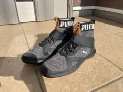 PUMA IGNITE ハイカット ゴルフシューズ　25cm