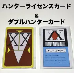 ハンターハンター　初期懸賞品　ハンターライセンス　ヘルスチェックカード ハンターハンター 初期懸賞品 ハンターライセンス ヘルス
