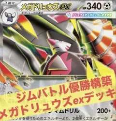 2026年最新】ドリュウズEXの人気アイテム - メルカリ
