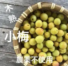 5/21 23時迄！【農家直送】和歌山県産 小梅 有機的栽培 約3㎏ - メルカリ