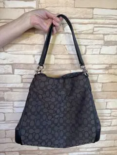 【美品】COACH コーチ バッグ ブラウン