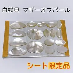 《おすすめ》天然シェル　白蝶貝　マザーオブパール　ホワイトシェル　シート限定品