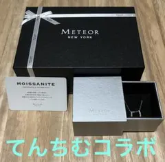 METEOR NEW YORK てんちむ ホースシューネックレス VEGAのサムネイル