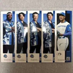 北海道日本ハムファイターズ スマートハイライトフォト 5枚セット