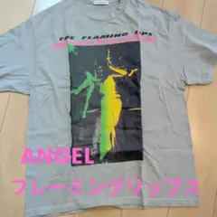 激レア　F-LAGSTUF-F Flaming Lips Tシャツ バンドT