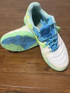 KIPSTA / ESKUDO PRO 26cm
