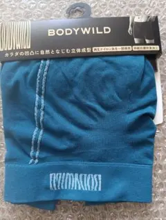 BODY WILD Mサイズ GUNZE ボクサーブリーフ　ブルーグリーン