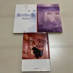 小池真理子 文学作品 3冊セット