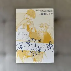 2026年最新】平野と鍵浦特典の人気アイテム - メルカリ