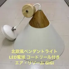 北欧風 ペンダントライト LED電球 コードリール付き エア・リゾーム GiGi