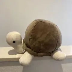 リクガメ　ぬいぐるみ