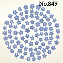押し花素材　No.849 忘れな草約90枚