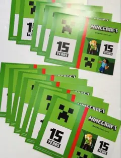 マインクラフト　マイクラ　　ダミージャケット　12枚セット