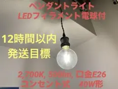 【12/16迄限定値下げ】ペンダントライト スイッチ付 LEDフィラメント電球