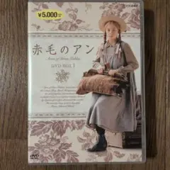 赤毛のアン DVDBOX 1〈4枚組〉 - メルカリ