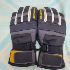 Item thumbnail for item 2d409d62-cd90-4488-9ba2-8229d74a683a