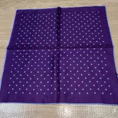 Item thumbnail for item 491d73ad-787e-4bf9-a7b5-dad8a40d0906