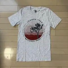 パークスプロジェクト Tシャツ S ジョシュアツリー国立公園