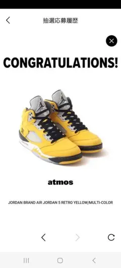 AIR JORDAN 5 RETRO TOKYO 23