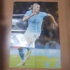 サッカーポスター ハーランド レヴァンドフスキ