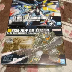 1/144 HGガンダムダブルエックス ＆ HGジムストライカー セット