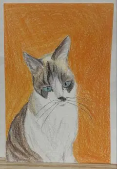 絵画 油彩 真作 今井ロジン 「子猫」 0号 「一枚の繪」より購入 茶白の