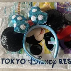 東京ディズニーリゾート ミニー耳カチューシャ スパンコール