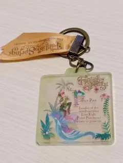 ファンタジースプリングス　ピーターパン キーチェーン