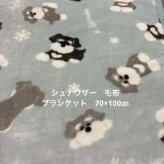 《新品》シュナウザー　犬柄　フリースブランケット 約70×100センチ　水色