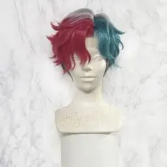 500部私家本○テストショットポラロイド（サイン付き）等付属】「幻視