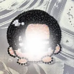 noir様 リクエスト 2点 まとめ商品