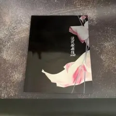 【美品】滝沢歌舞伎 ZERO パンフレット SnowMan 目黒蓮 岩本照