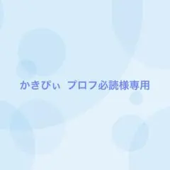 かきぴぃ プロフ必読様専用（12/22まで出品）